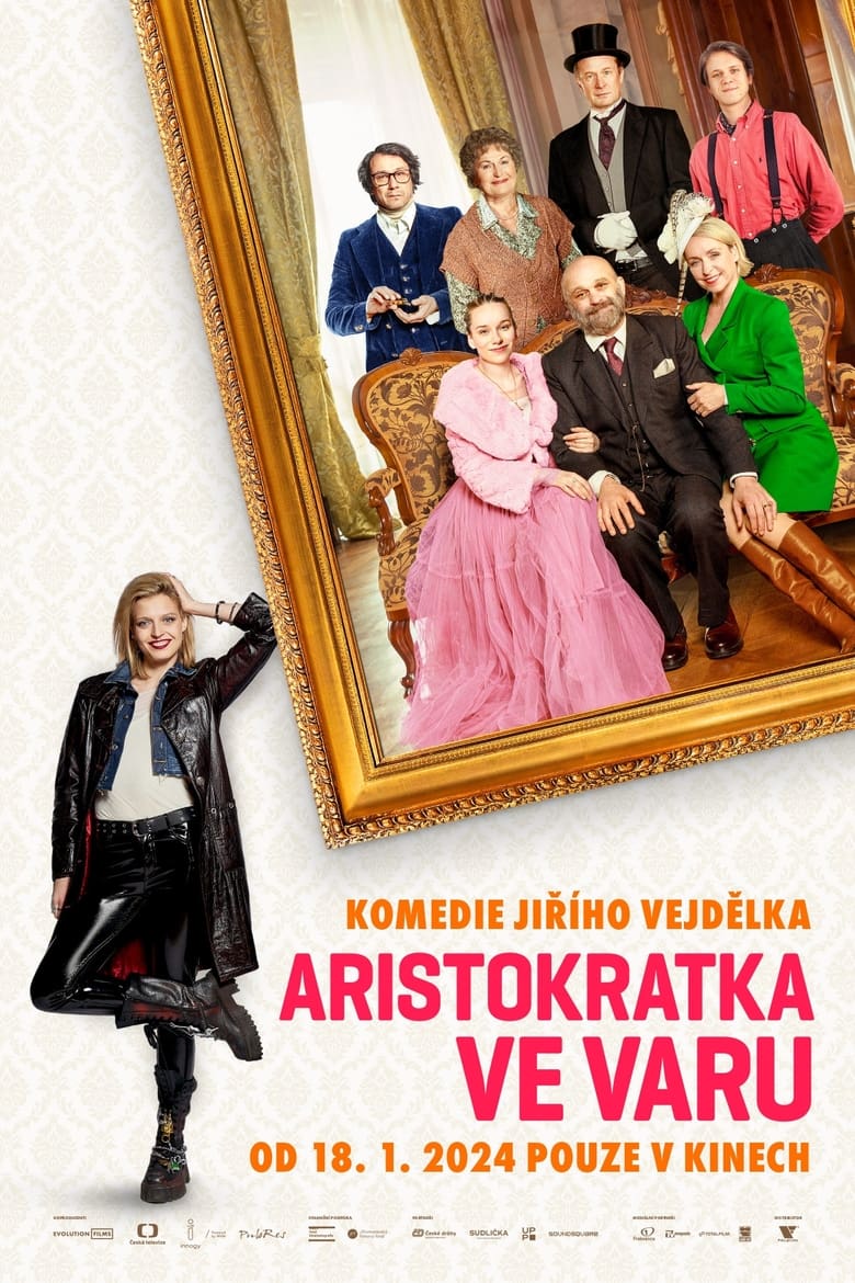 affiche du film Aristocrat in the Boil