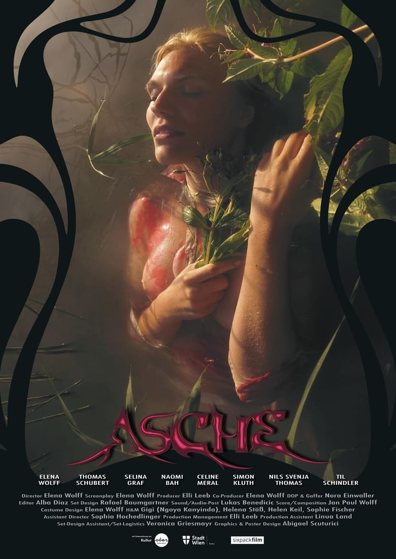 affiche du film Asche