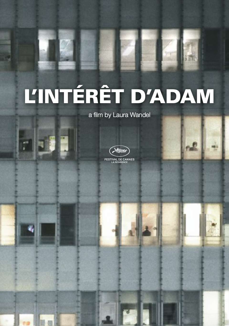 affiche du film L'Intérêt d'Adam