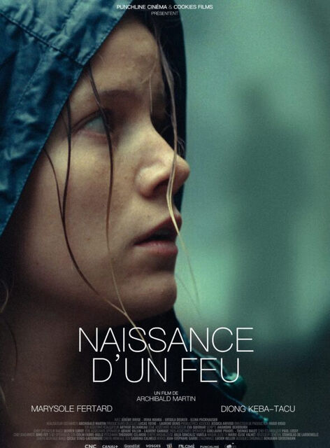 affiche du film Naissance d'un feu