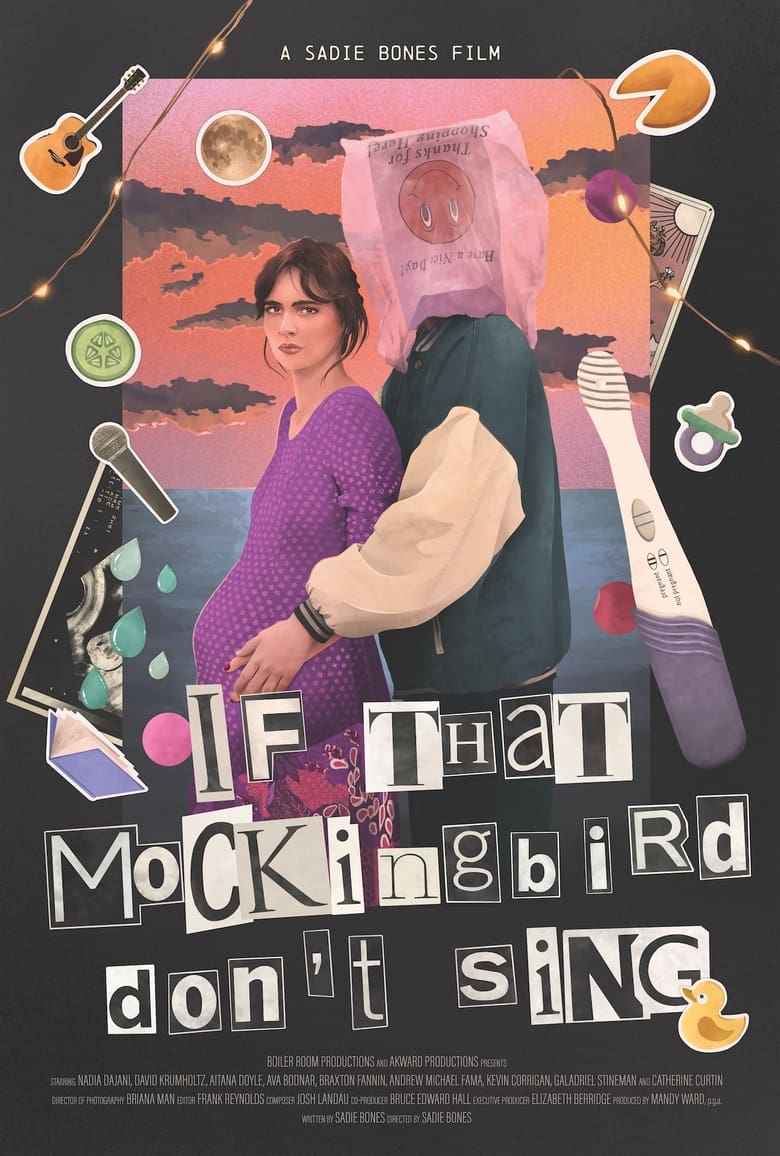 affiche du film If That Mockingbird Don’t Sing