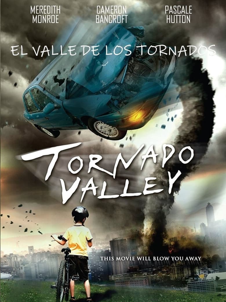 affiche du film La vallée des tempêtes