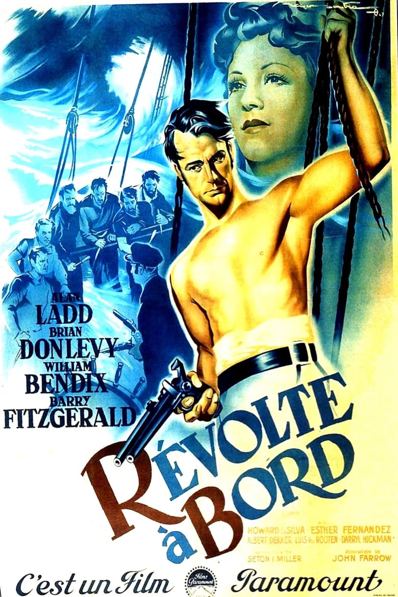 affiche du film Révolte à bord