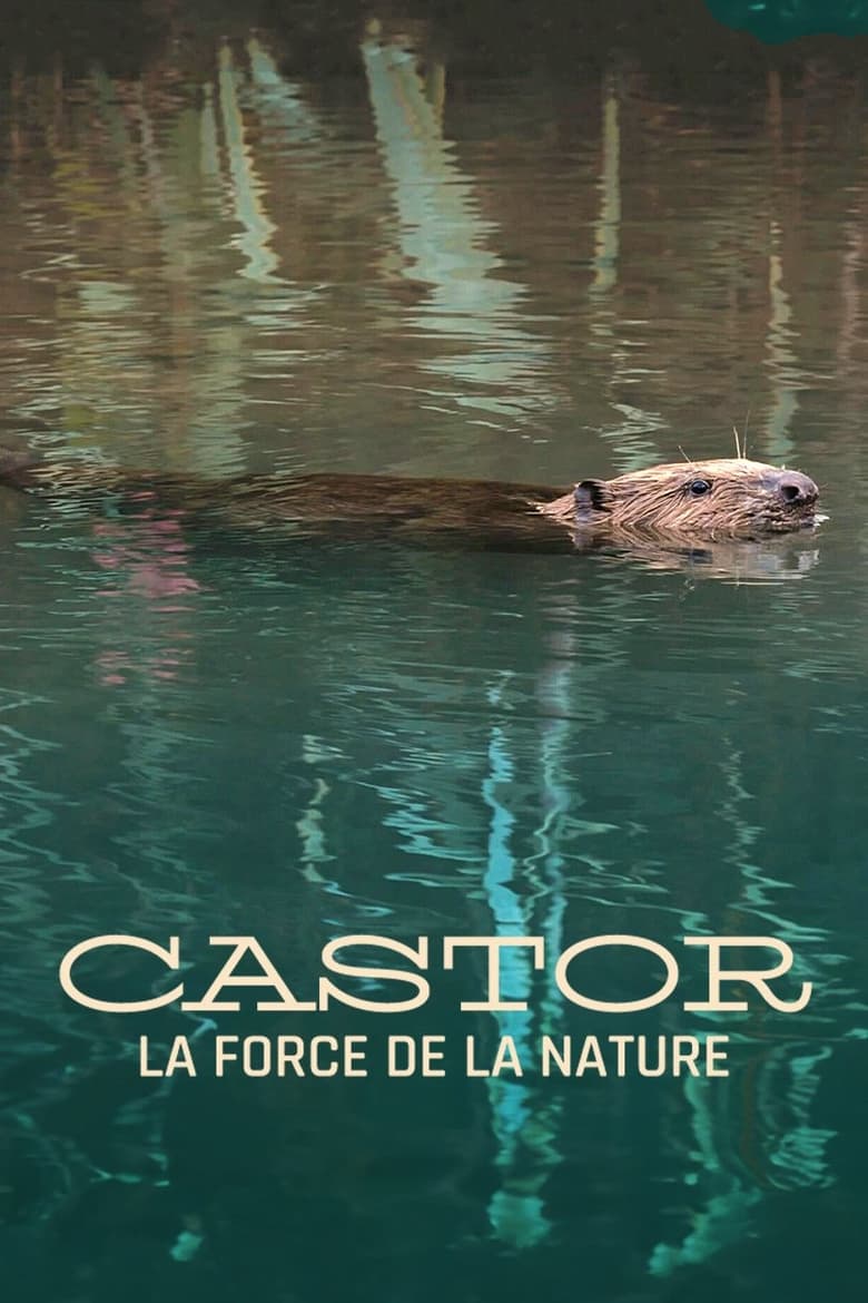 affiche du film Castor, la force de la nature