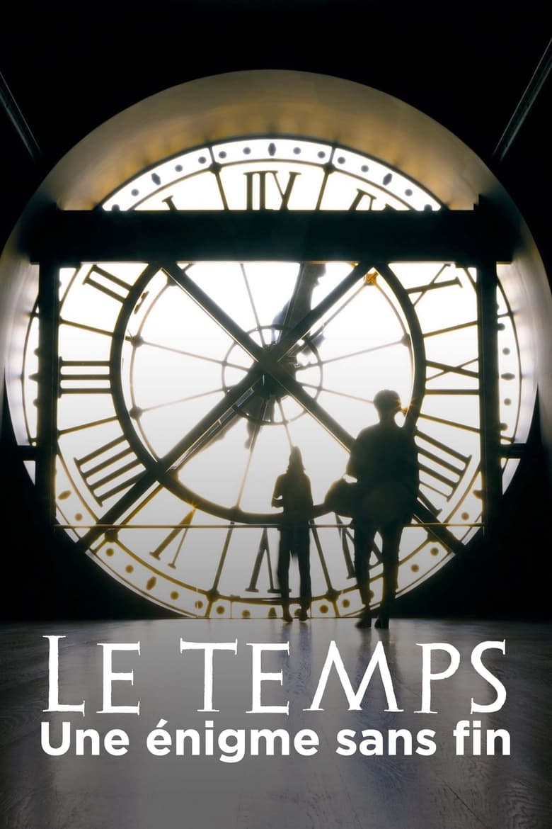 affiche du film Le Temps : Une énigme sans fin