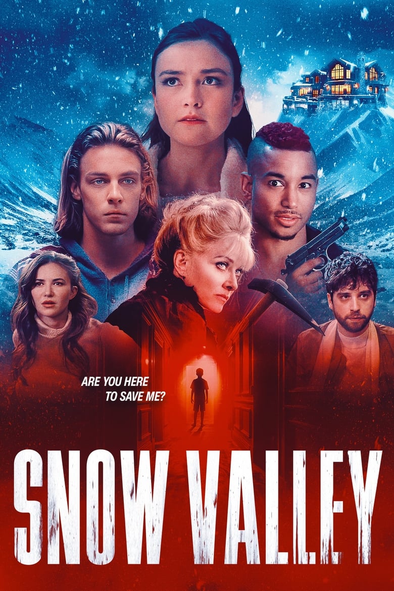 affiche du film Snow Valley