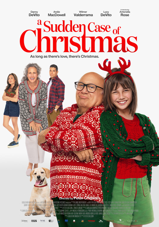 affiche du film A Sudden Case of Christmas