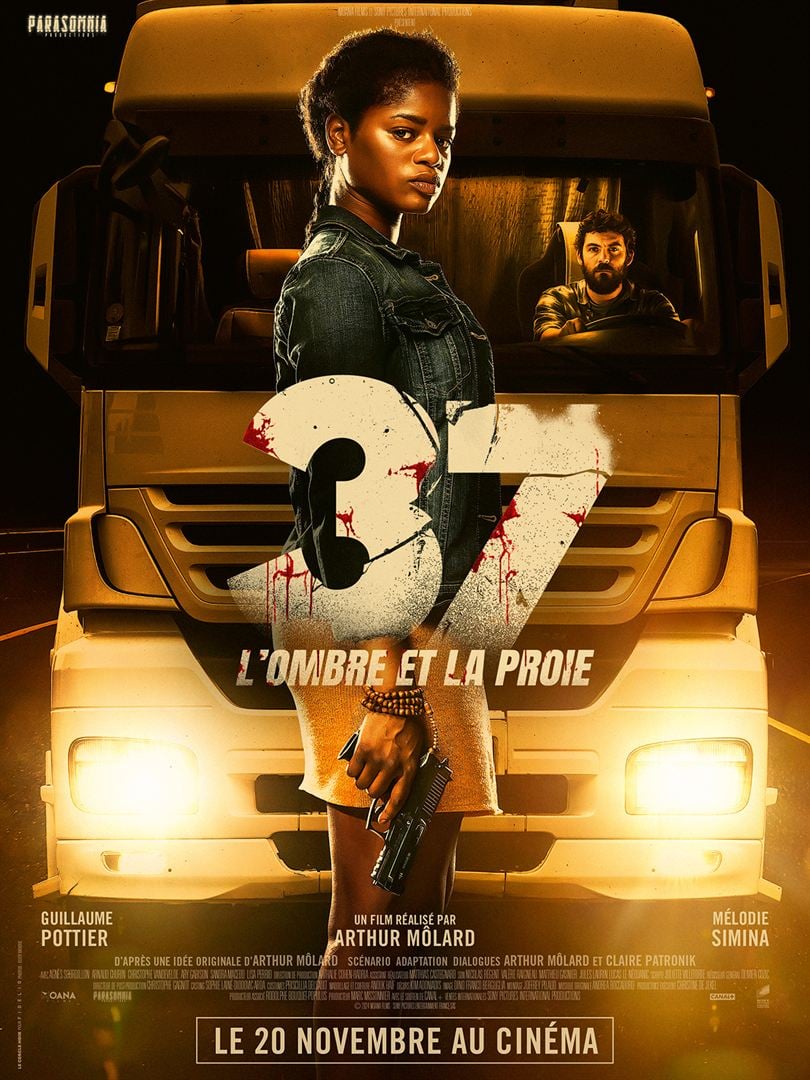 affiche du film 37 : l'ombre et la proie