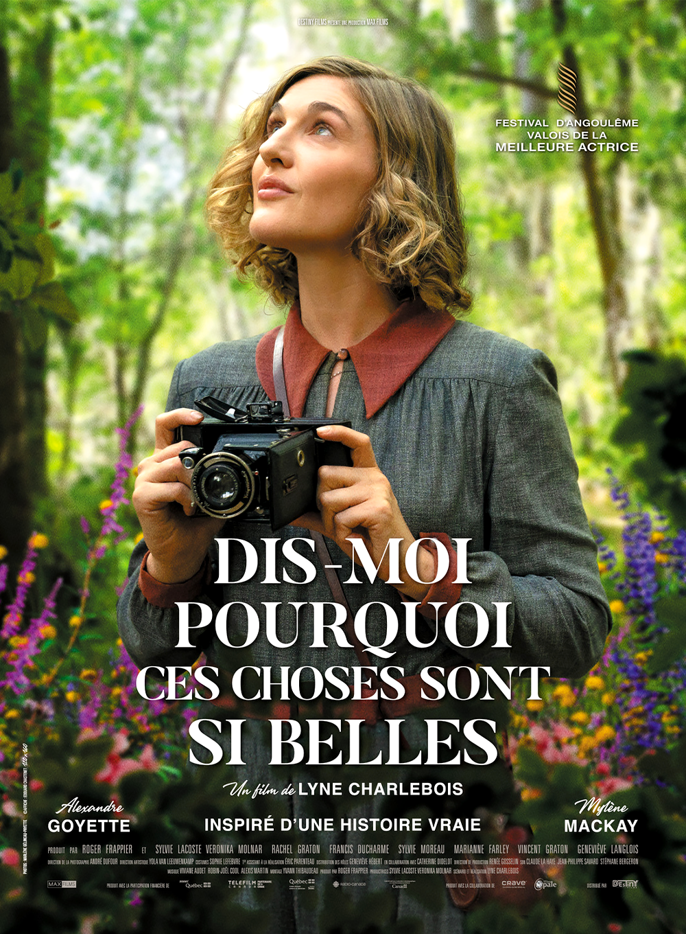 affiche du film Dis-moi pourquoi ces choses sont si belles