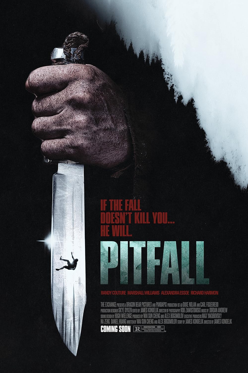 affiche du film Pitfall
