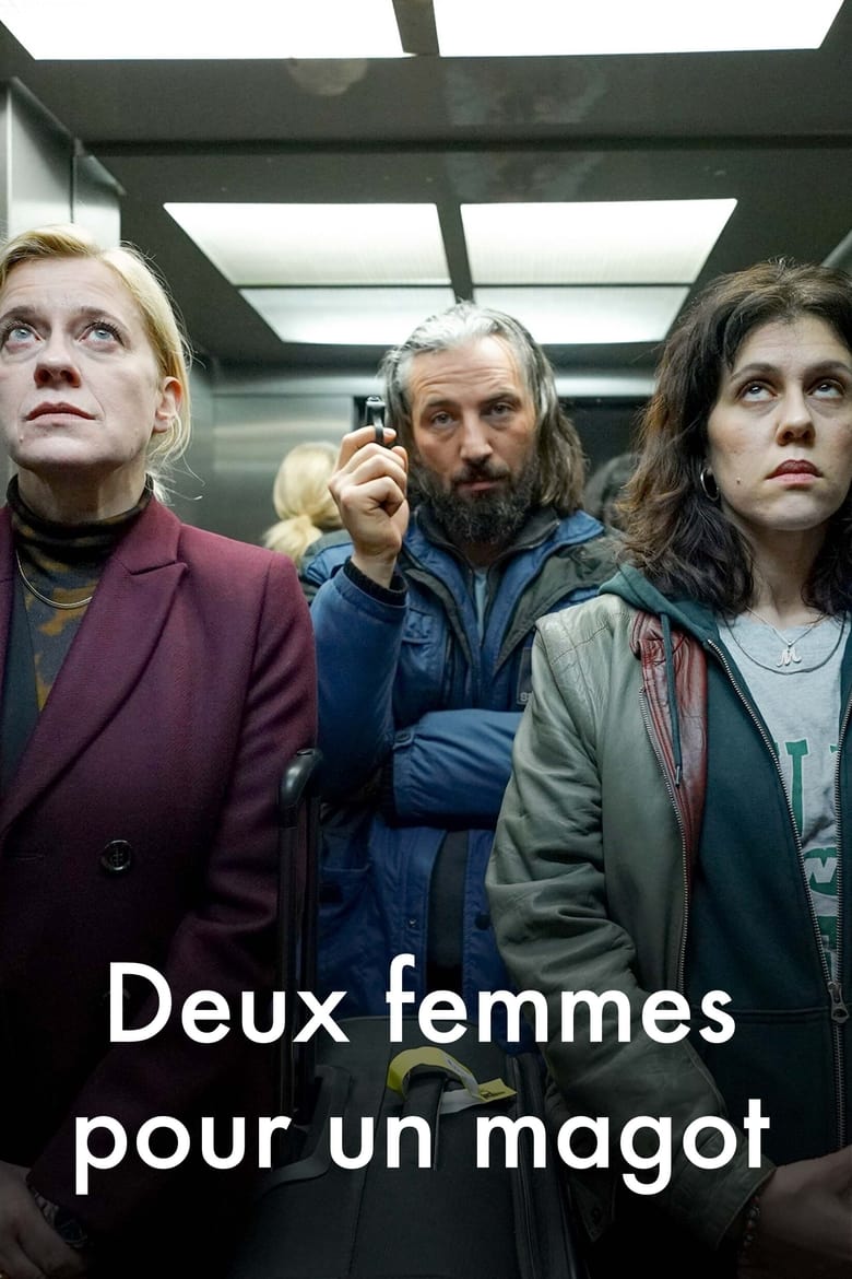 affiche du film Deux femmes pour un magot