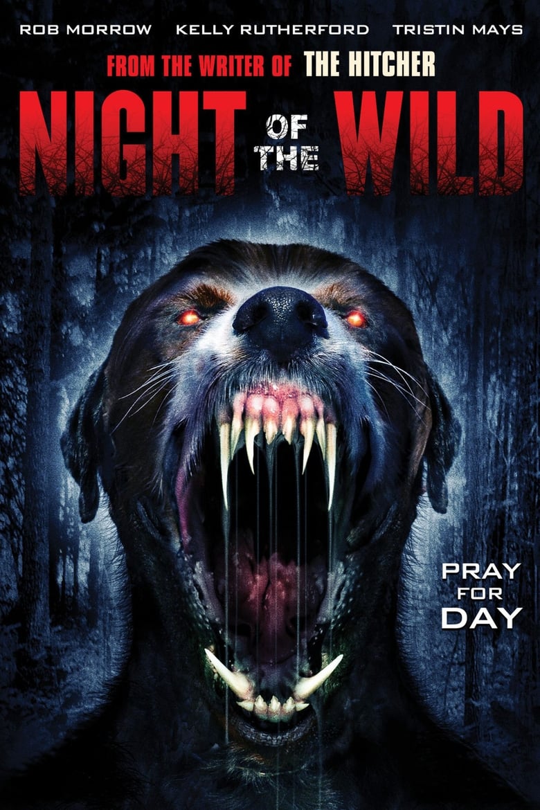 affiche du film Night of the Wild