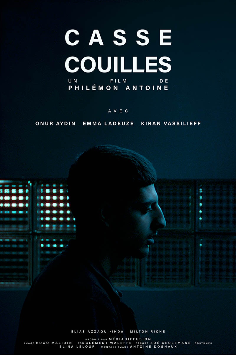 affiche du film Casse couille