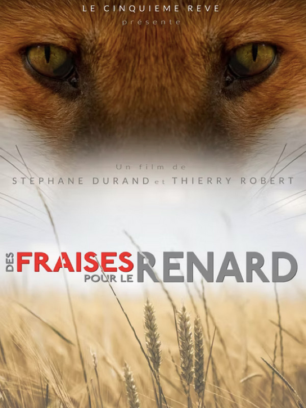 affiche du film Des fraises pour le renard