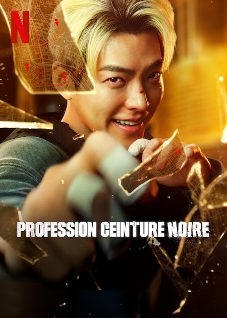 affiche du film Profession ceinture noire