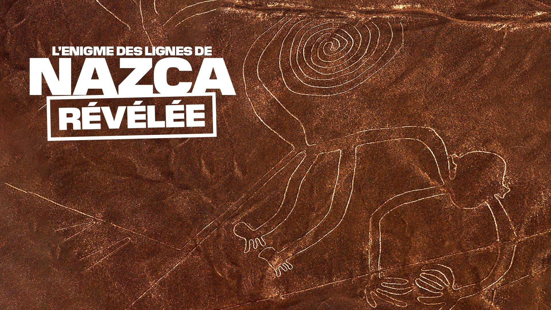 affiche du film L'énigme des lignes de Nazca révélée