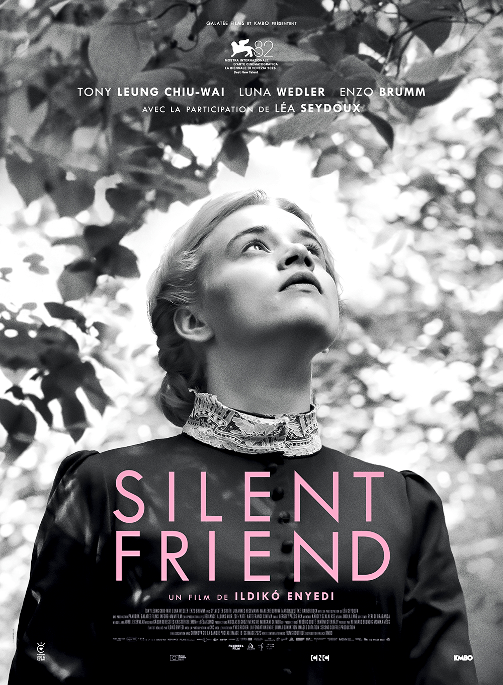 affiche du film Silent Friend