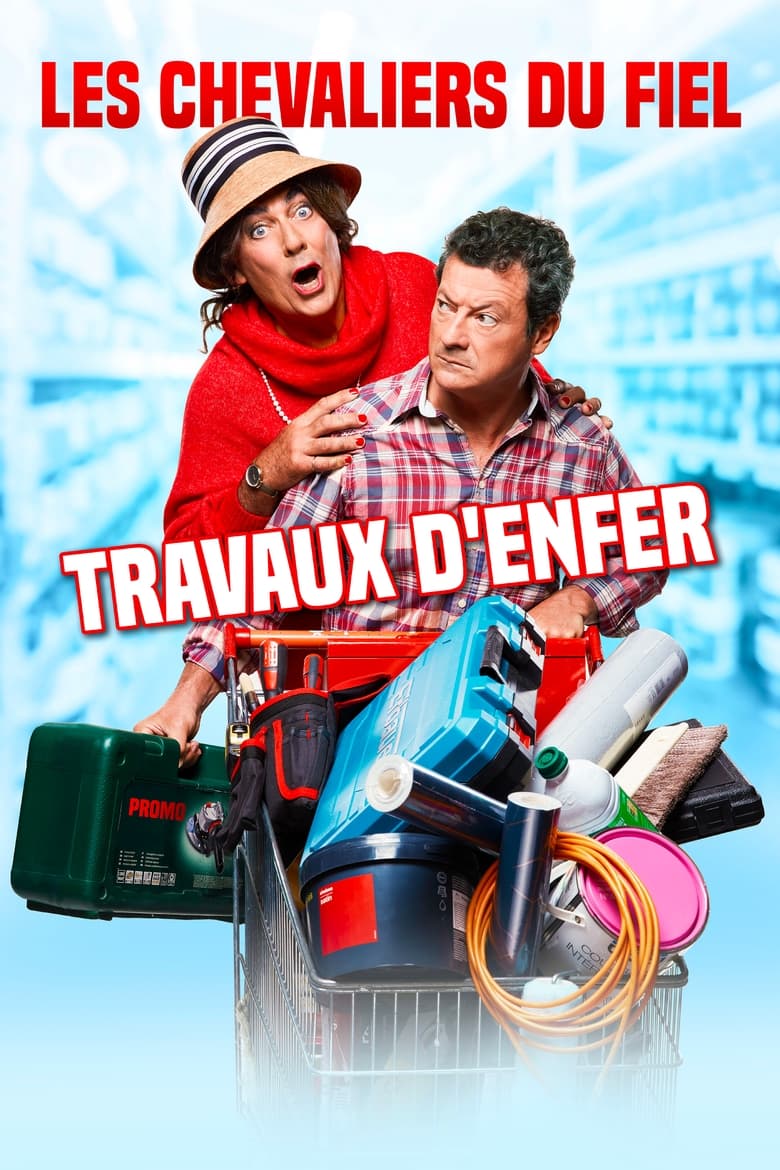 affiche du film Les Chevaliers du Fiel : Travaux d'enfer