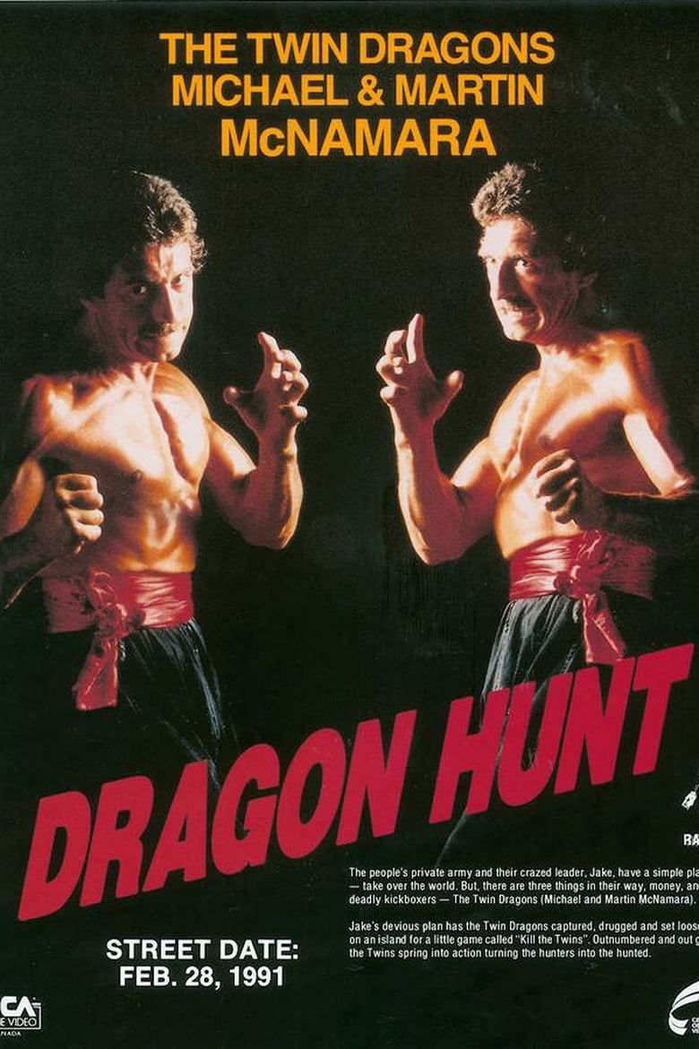 affiche du film Dragon Kickboxers