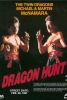 Dragon Kickboxers (Dragon Hunt)