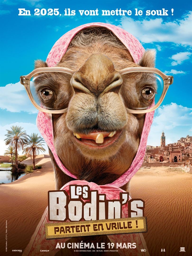 affiche du film Les Bodin’s partent en vrille