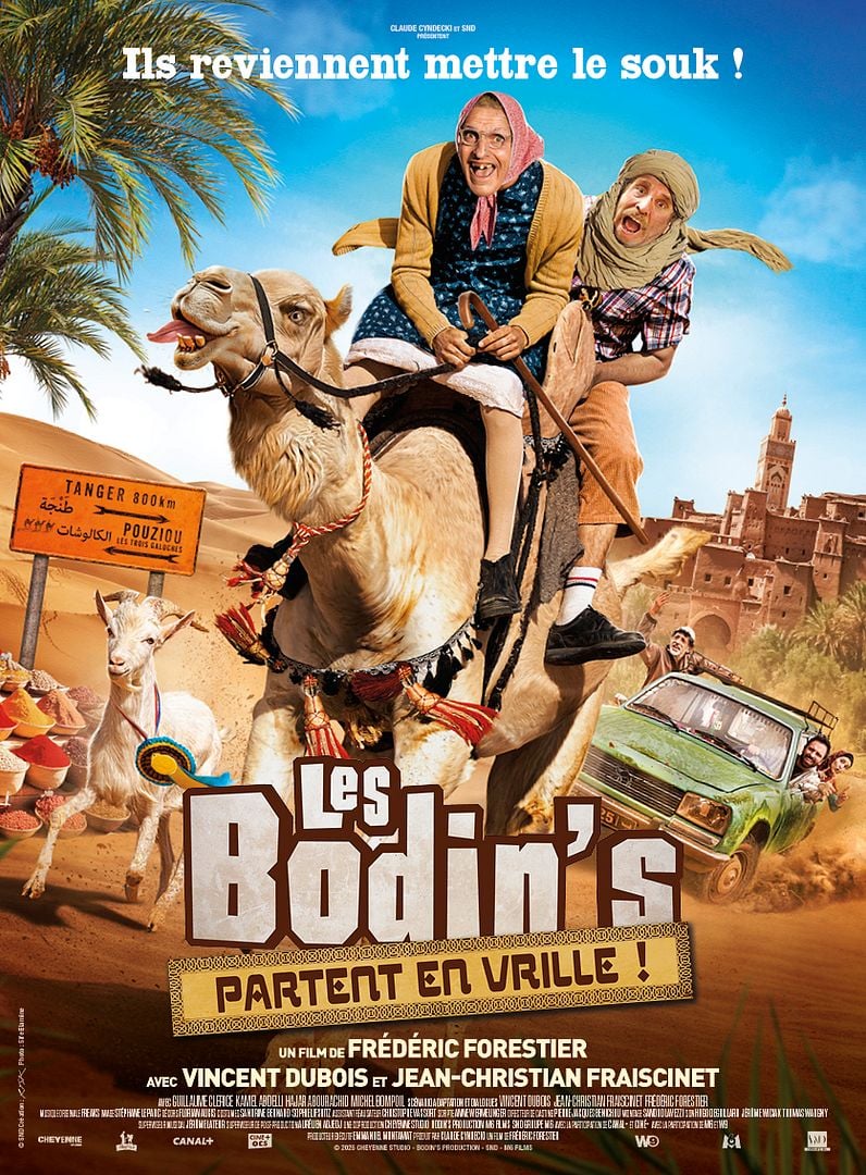 affiche du film Les Bodin’s partent en vrille