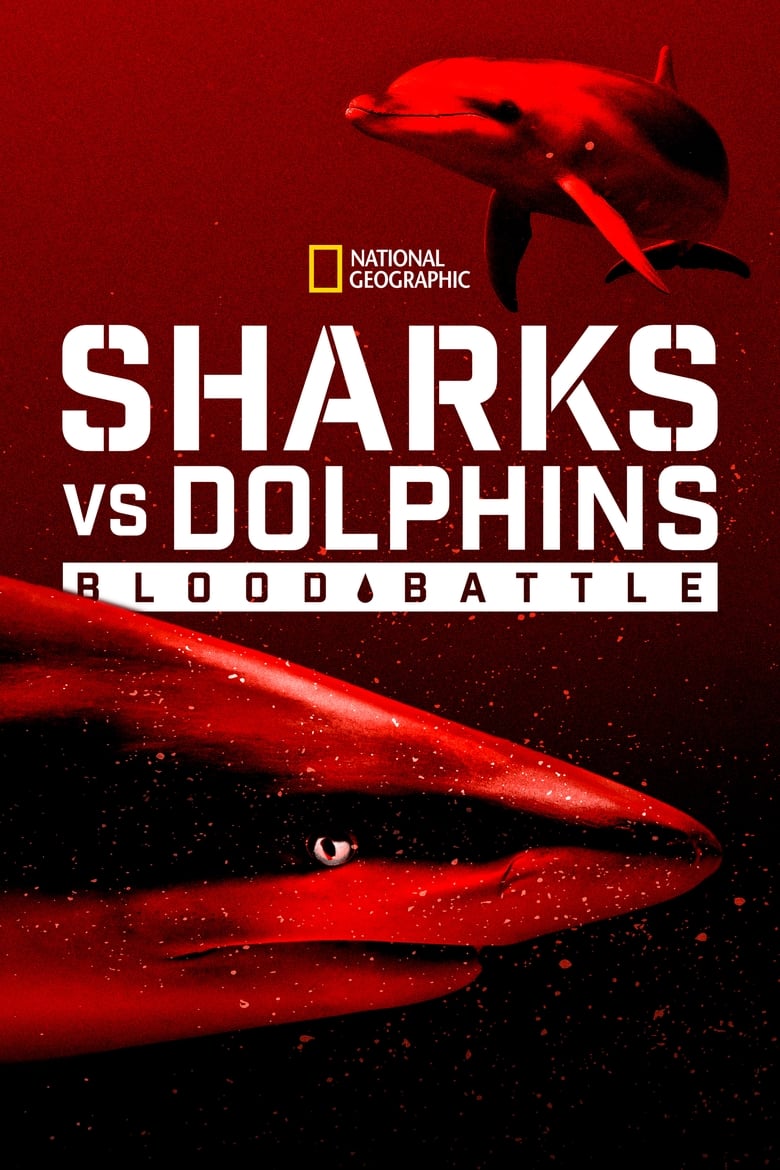 affiche du film Requins vs dauphins