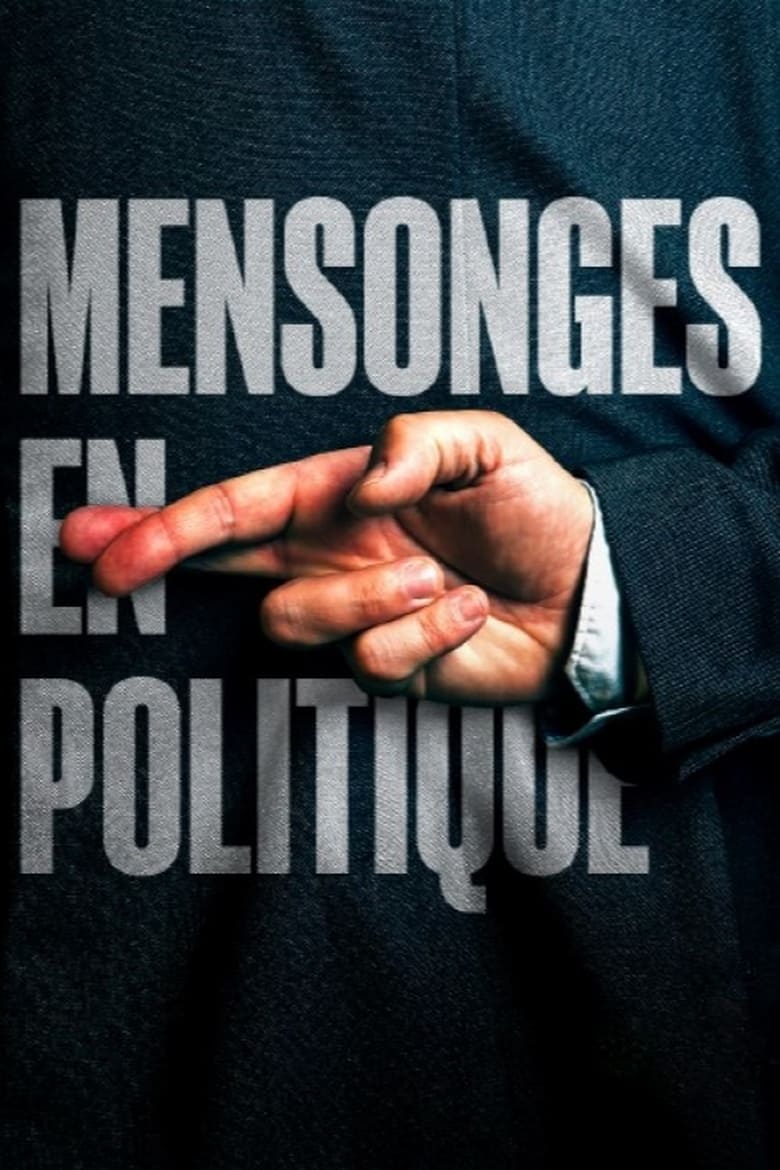 affiche du film Mensonges en politique