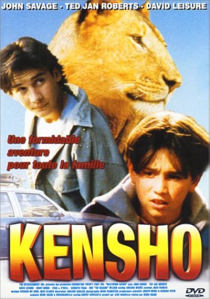 affiche du film Kensho