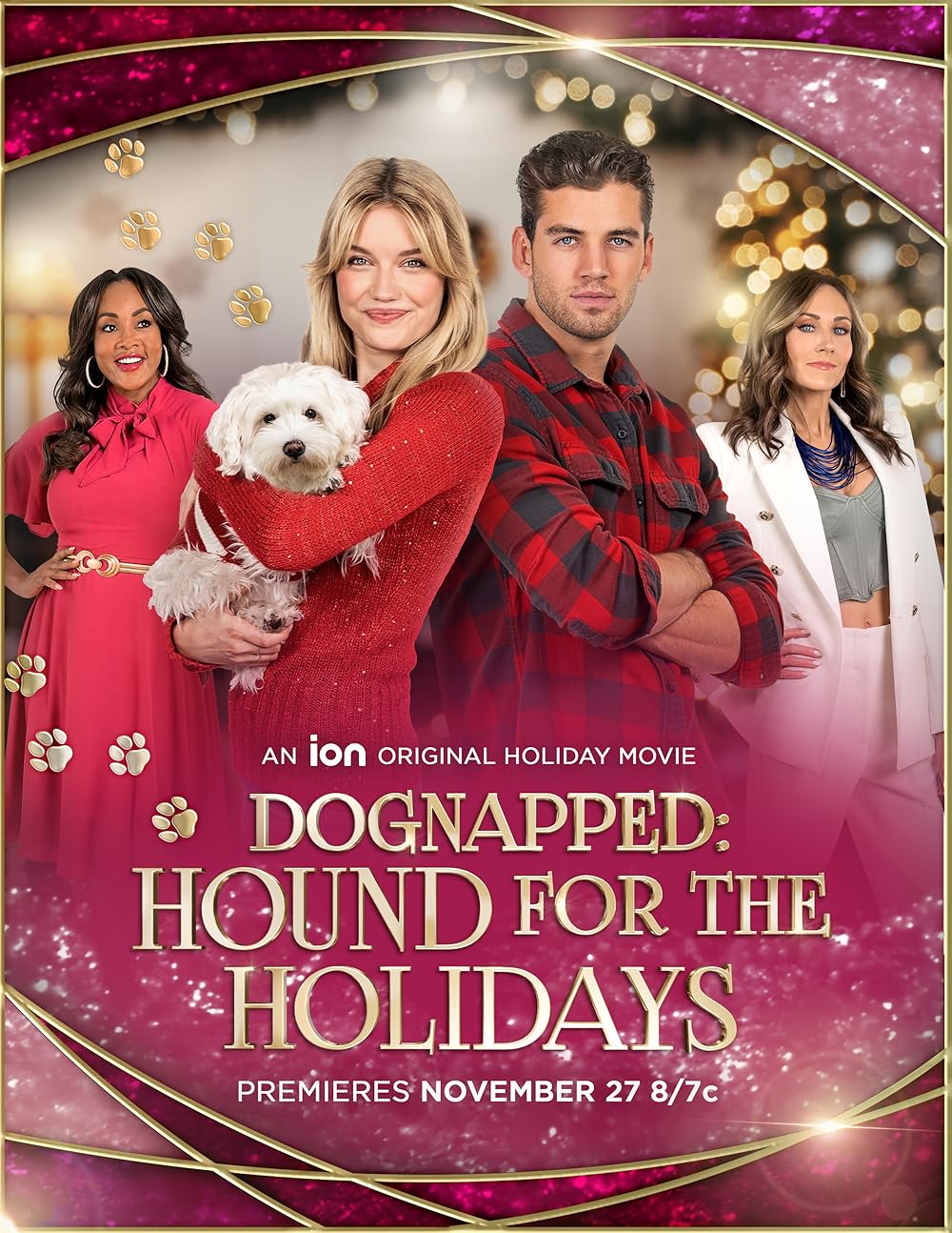 affiche du film Dognapped : A Hound for the Holidays