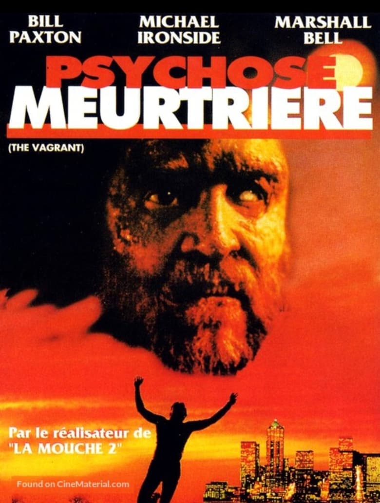 affiche du film Psychose meurtrière