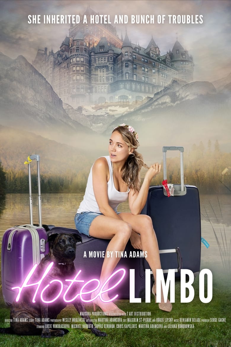 affiche du film Hotel Limbo