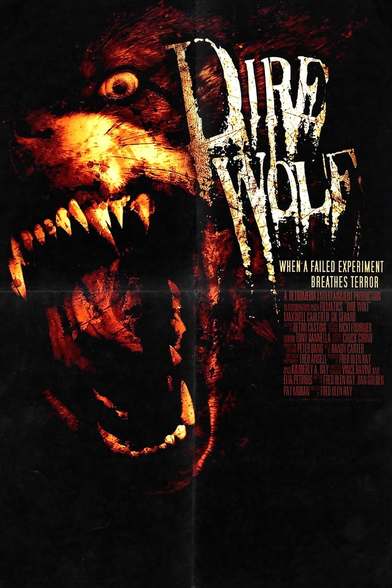 affiche du film Dire Wolf