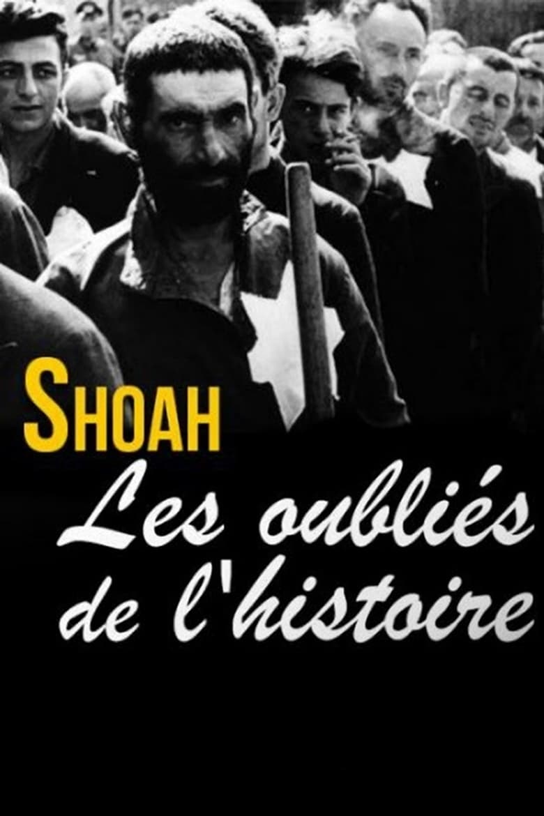 affiche du film Shoah, les oubliés de l'histoire