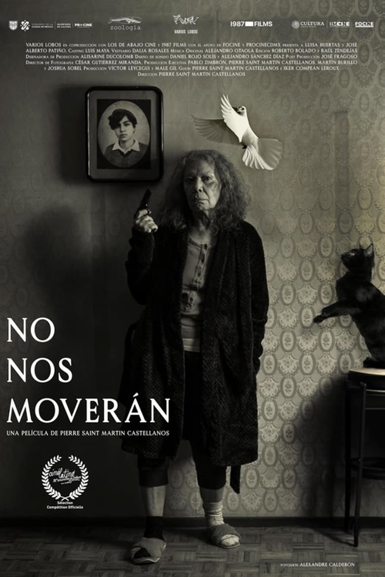 affiche du film We Shall not be Moved