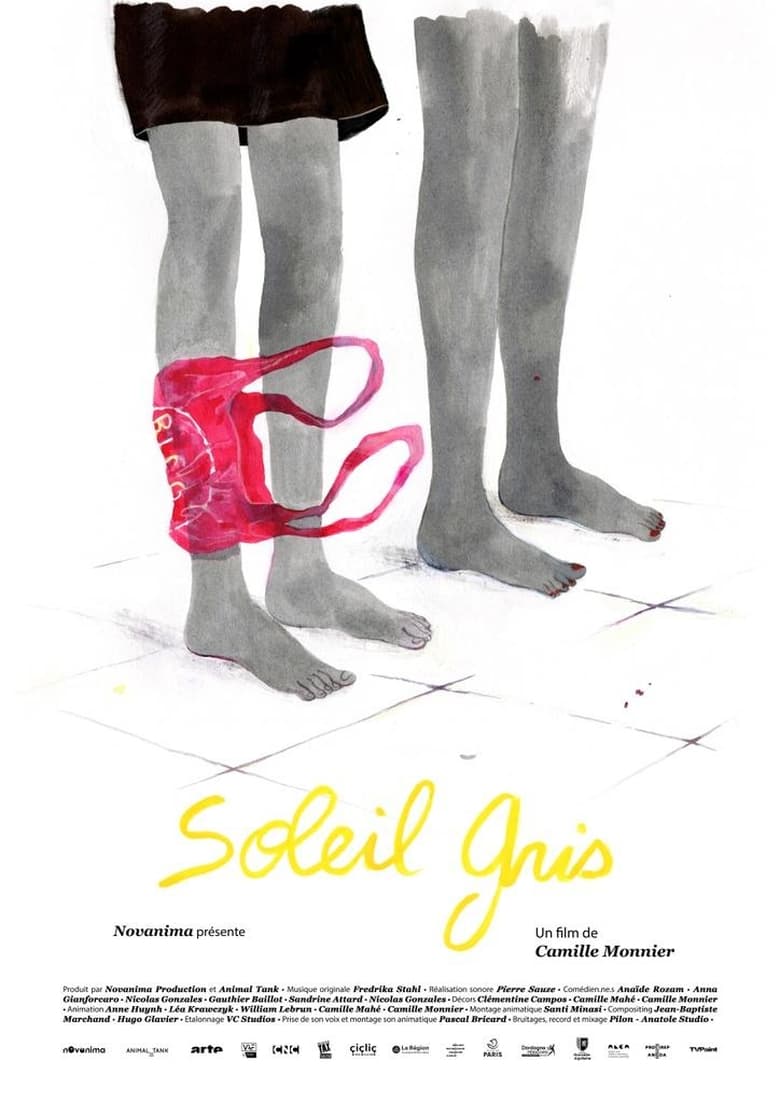 affiche du film Soleil gris