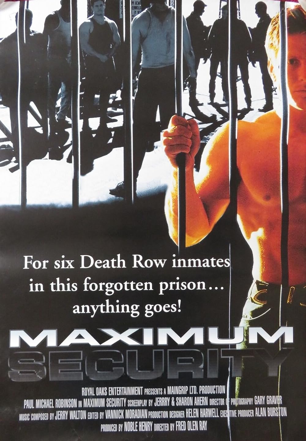 affiche du film Maximum Security