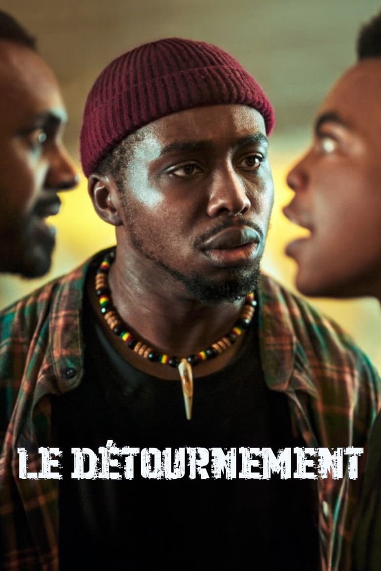 affiche du film Le Détournement