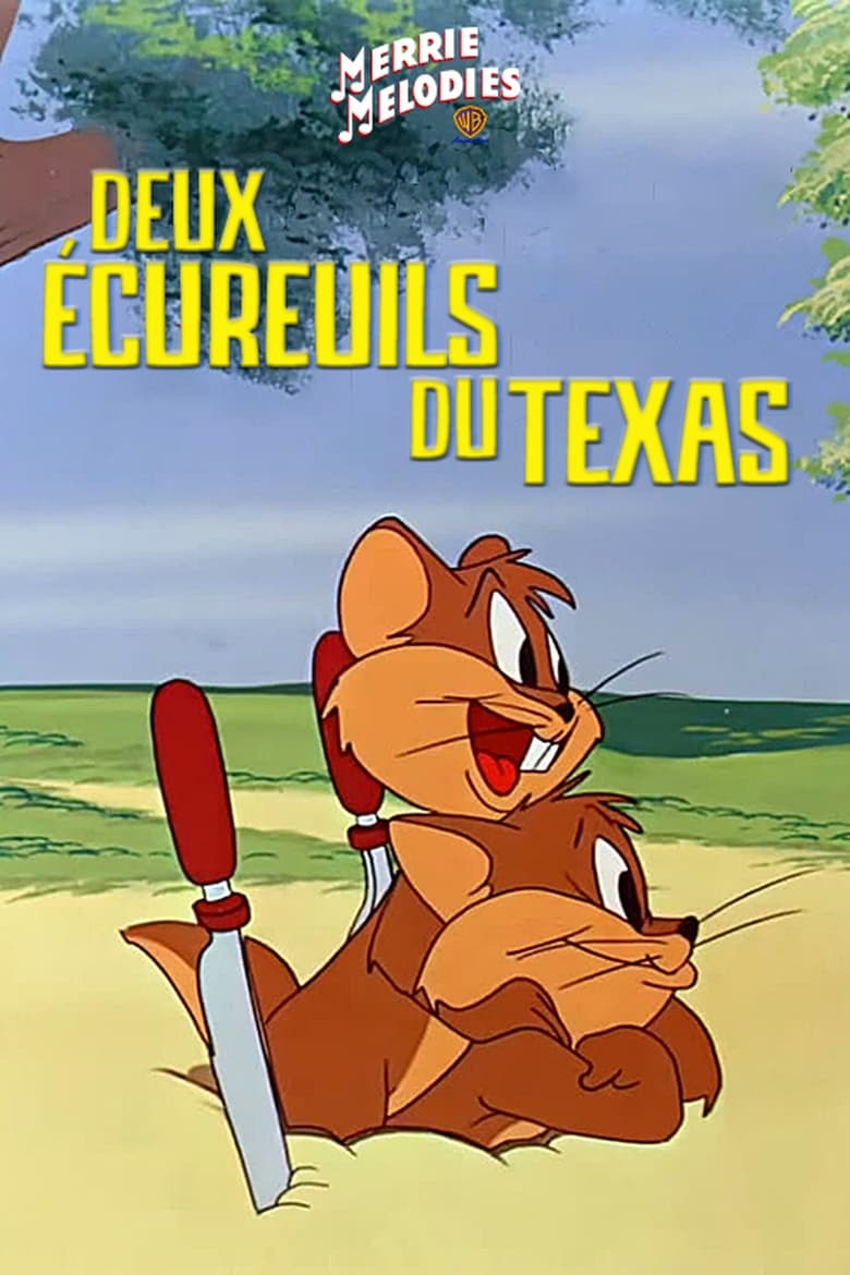 affiche du film Deux écureuils du Texas