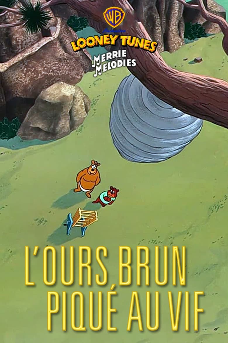 affiche du film L'ours brun piqué au vif