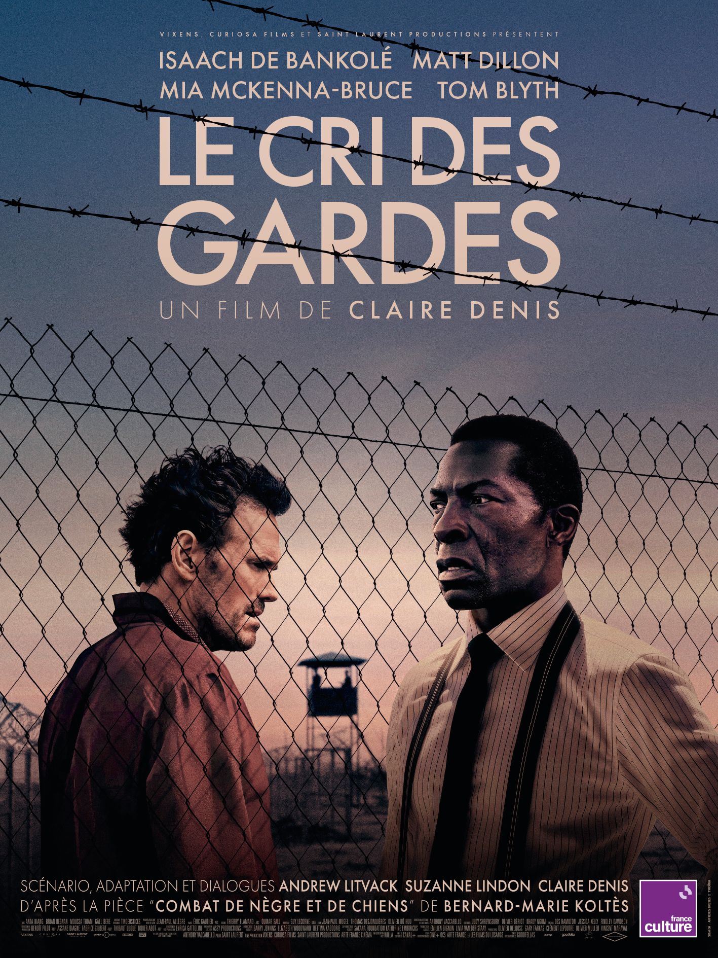 affiche du film Le Cri des gardes