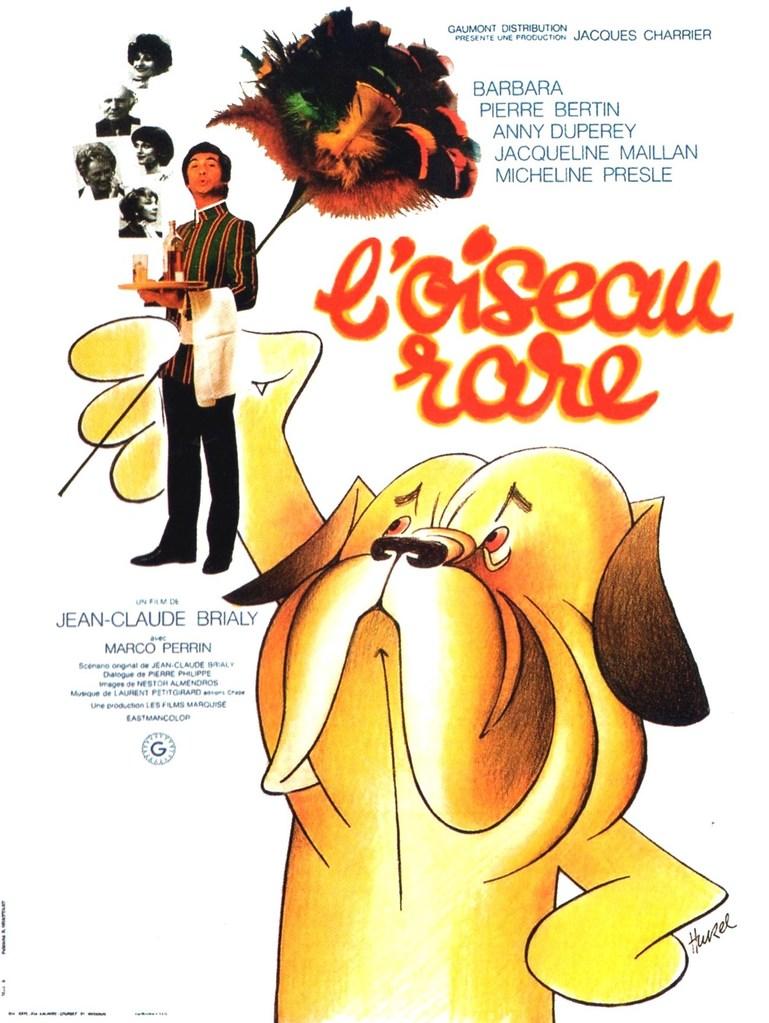 affiche du film L'oiseau rare