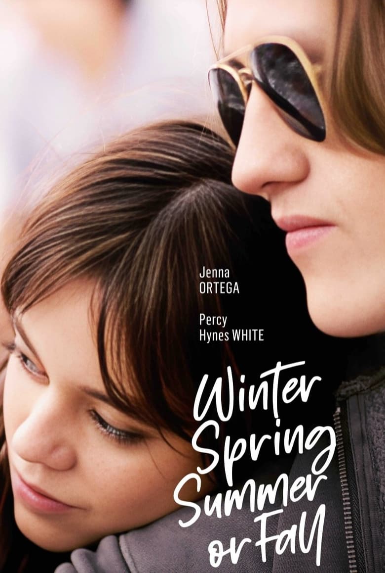 affiche du film Winter Spring Summer or Fall