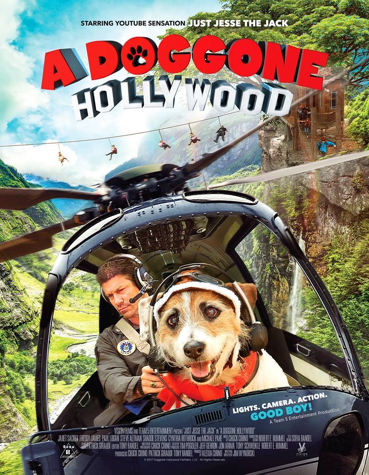 affiche du film A Doggone Hollywood