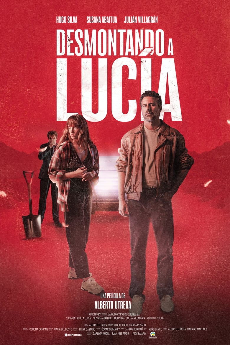 affiche du film Desmontando a Lucía