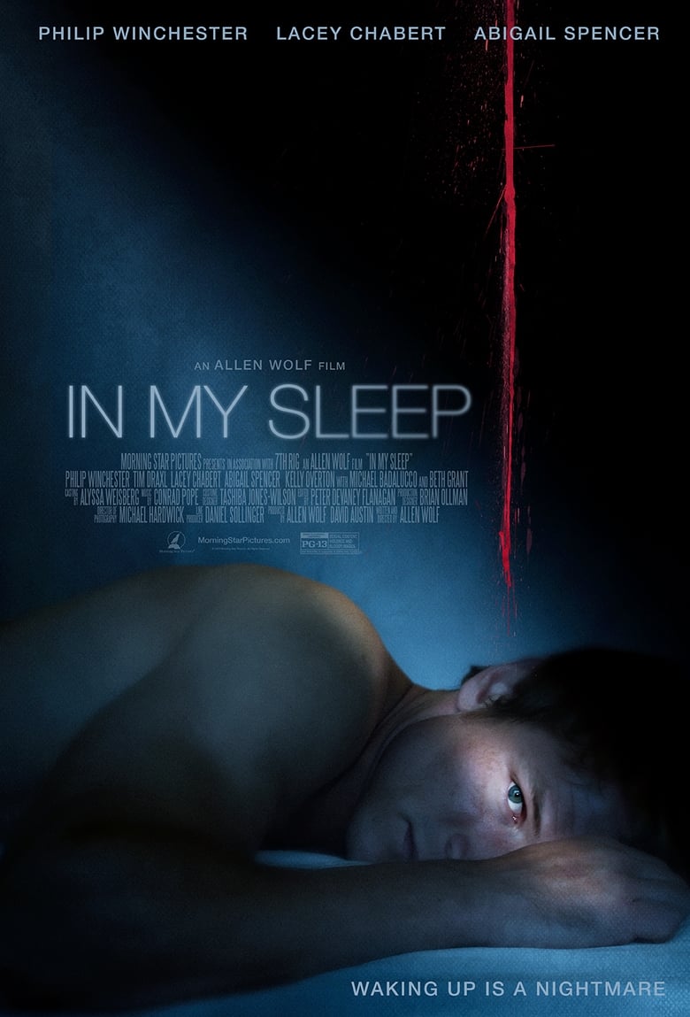 affiche du film In My Sleep