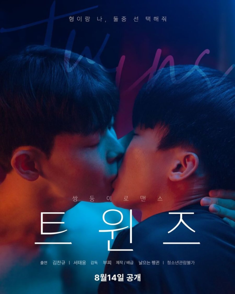 affiche du film Twins