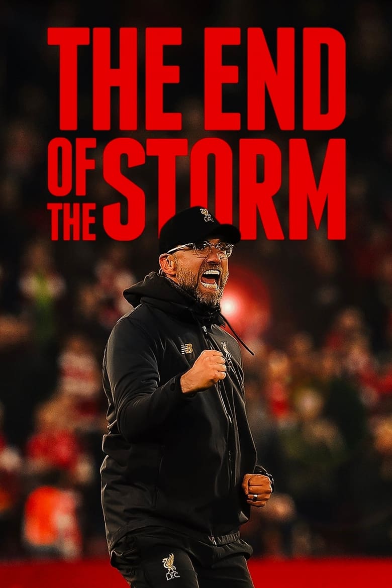 affiche du film The End of the Storm