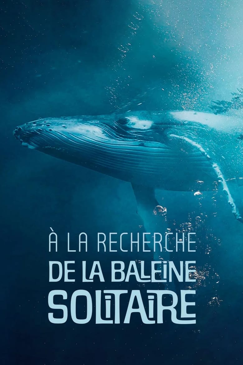 affiche du film À la recherche de la baleine solitaire