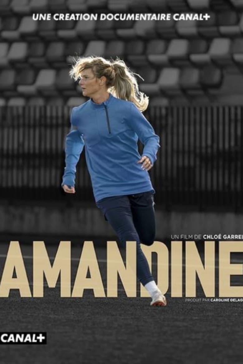 affiche du film Amandine